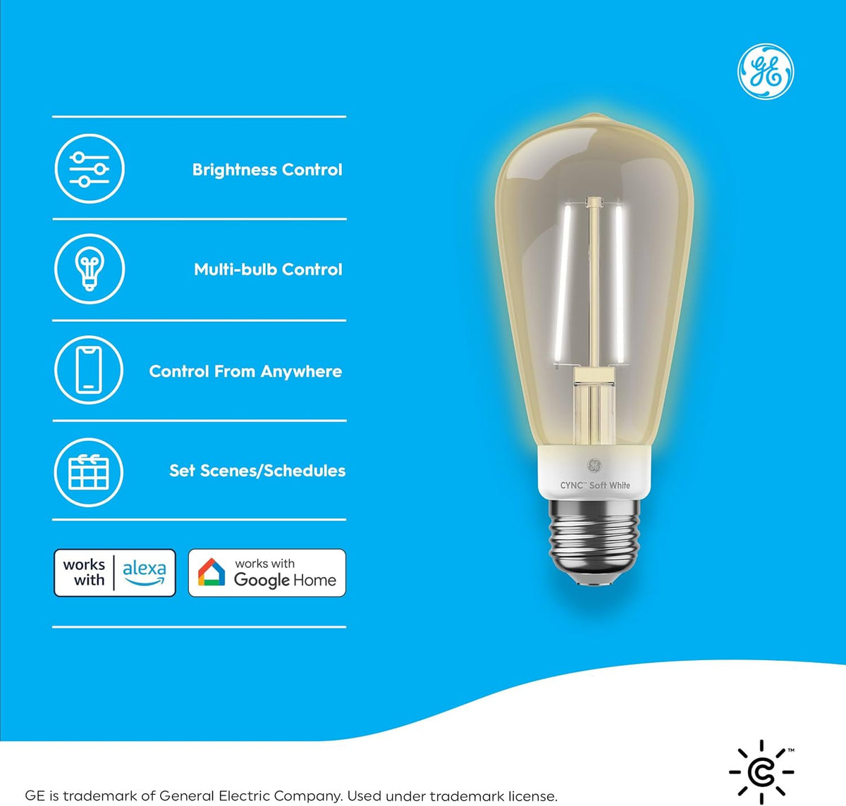 GE  Smart LED Light Bulb, ST19 Edison Style